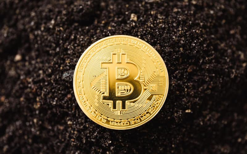 Close-up of a golden Bitcoin coin resting on dark soil, symbolizing cryptocurrency growth.