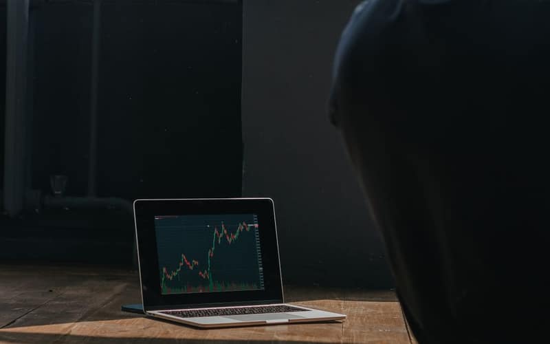 A person observing cryptocurrency trends on a laptop indoors.